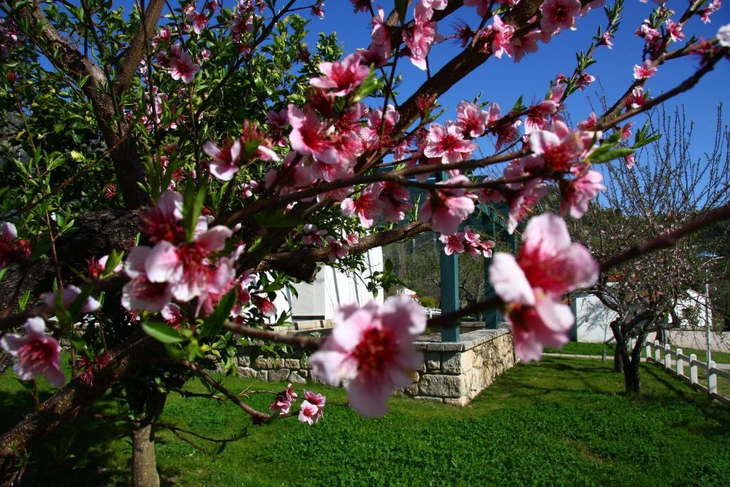 Gasthaus Hospederia Rural Aldeaduero Saucelle Exterior foto